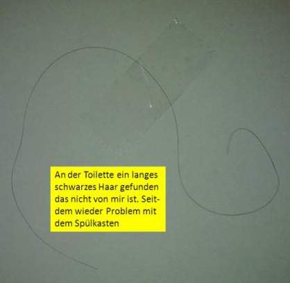 201910280548-0-5.jpg