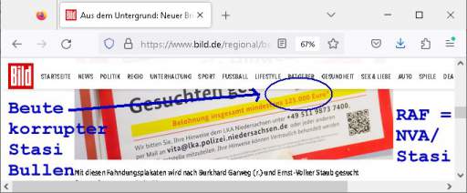 202503071515-0-3.jpg