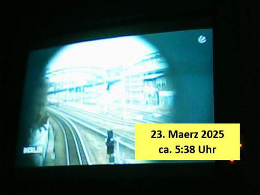 202503230538-0-1.jpg
