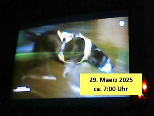 202503290700-0-1.jpg